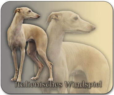 Mousepad Italienisches Windspiel (Piccolo Levriero Italiano) #2